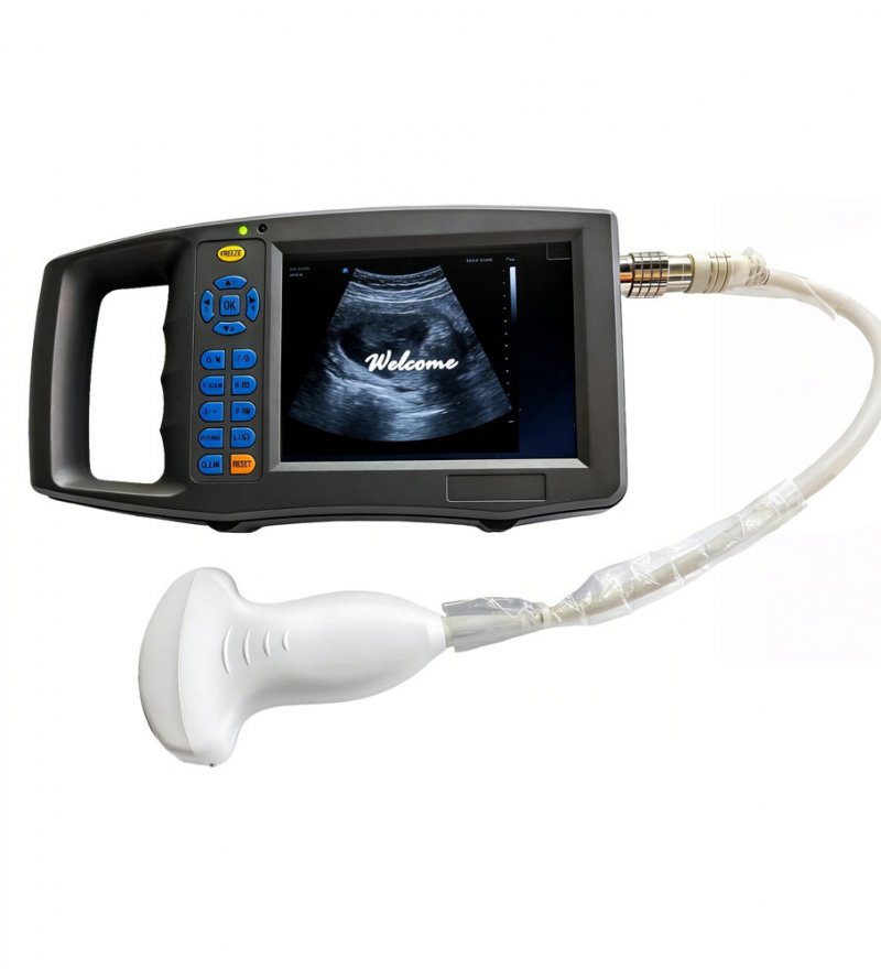 Sipert 兽用B超测孕测背膘（KS-56D）