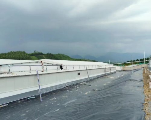 世博畜牧｜精液气动传输系统：现代化公猪站高效传输标配